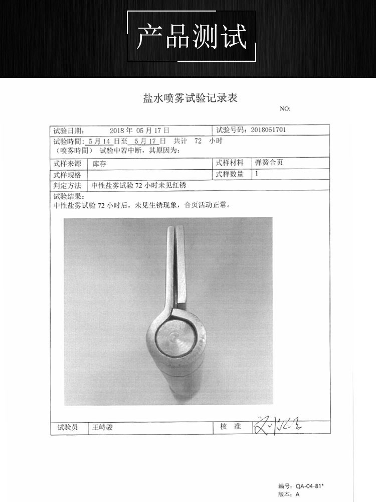 榴莲视频网站榴莲视频黄色网站RDH-10 弹簧合页